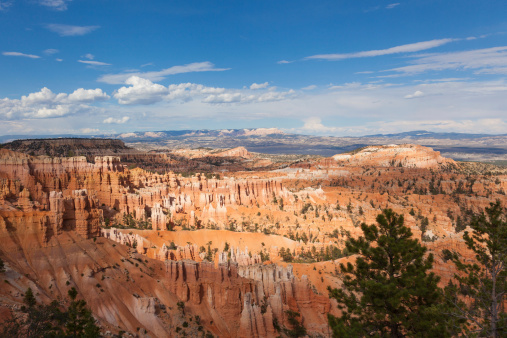 Bryce canyon national park in Utah  - USA