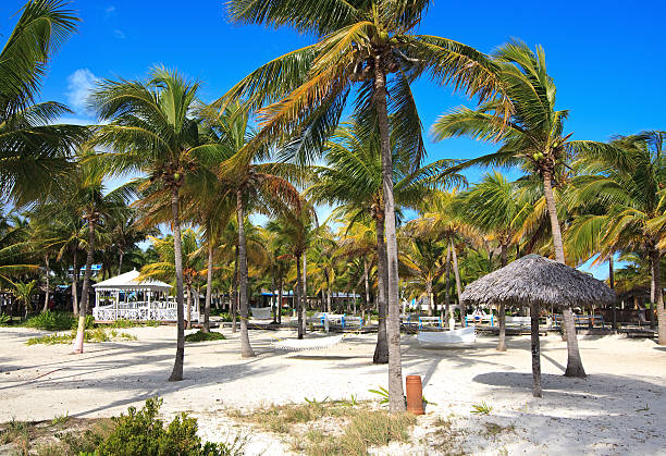 istock Area of hotel Melia Cayo Guillermo. 177404457