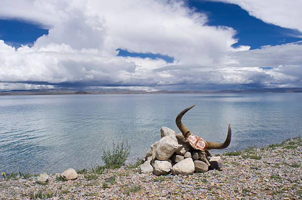 Horses and the crowd at the Namtso Lake with cloudy sky, Tibet, China.