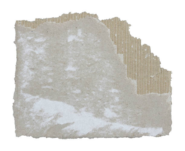 istock Torn pieces of corrugated paper isolated on white background 1774050550