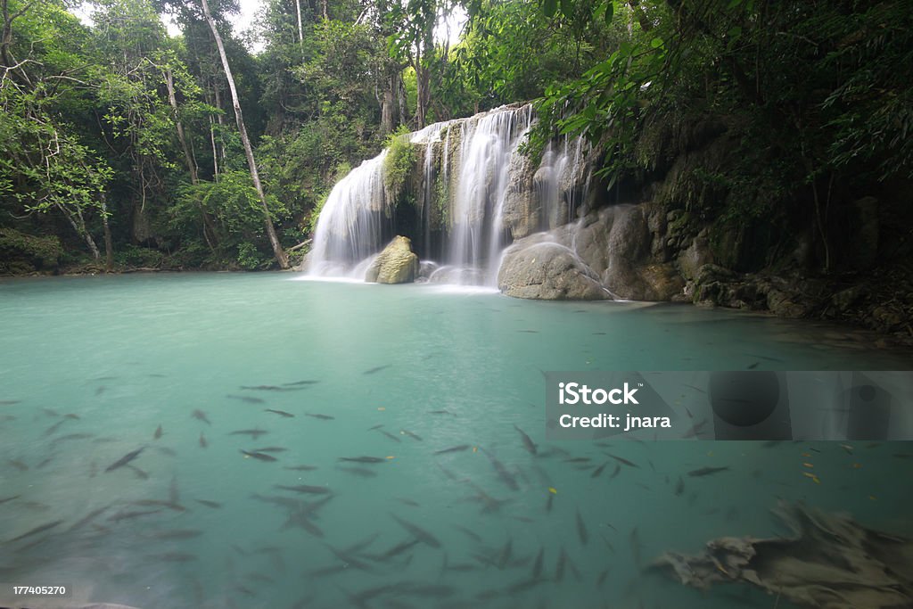 Cascada del bosque profundo en Tailandia - Foto de stock de Aire libre libre de derechos