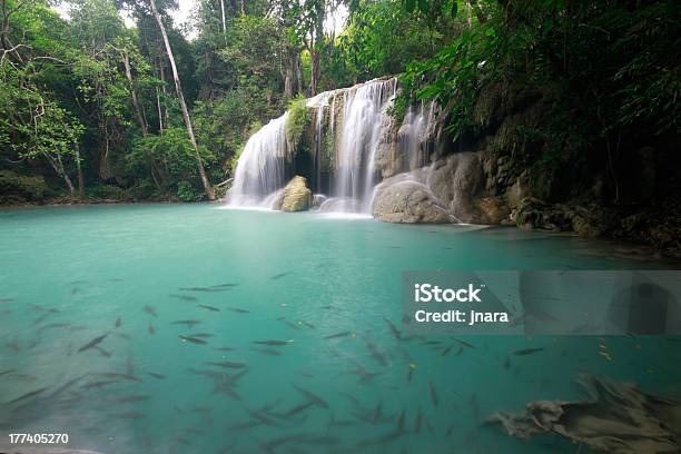 Cascada Del Bosque Profundo En Tailandia Foto de stock y más banco de imágenes de Aire libre - Aire libre, Bosque, Catarata