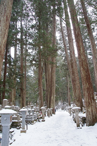 Wakayama,Japan,Feb 6, 2022 ; Snowy landscape of Koyasan Okunoin, a sacred place for Buddhism in Japan