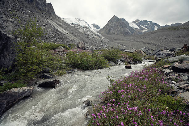 Small river in Altay mountains, Russia stock photo