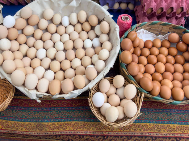istock eggs in a basket on table in farmers market 1774059483