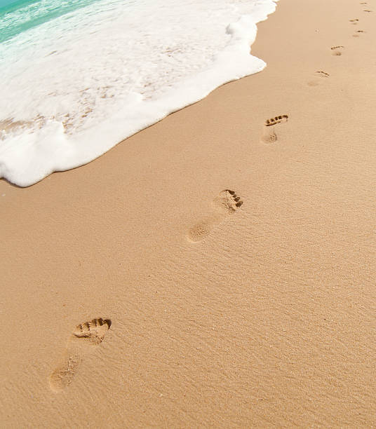 istock Footprints on sand of ocean beach 177406174