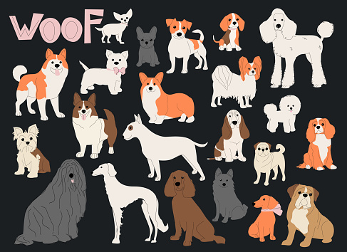 Dogs of different breeds isolated on dark background set. Pets vector illustration.