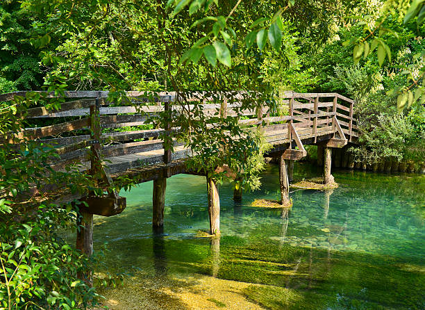 Paisagem com bridge - foto de acervo