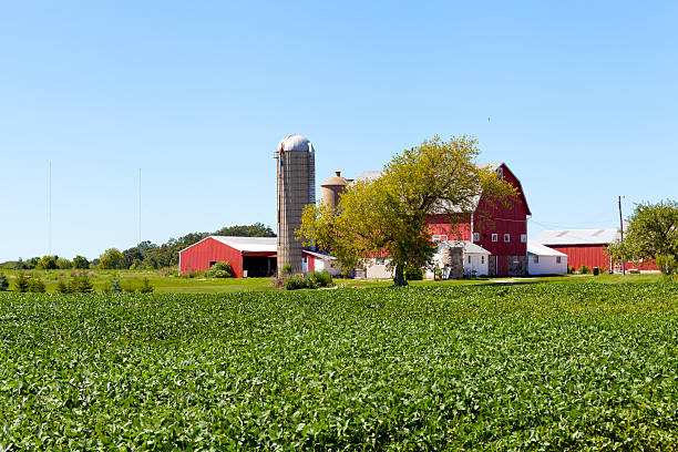 istock Field with Farm Buildings in the background 177406930
