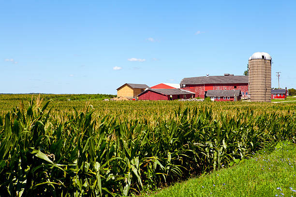 istock Field with Farm Buildings in the background 177406932