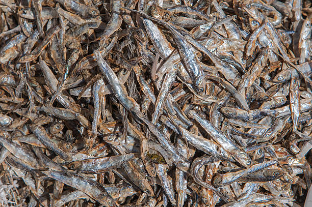 istock Dried fishes 177406940