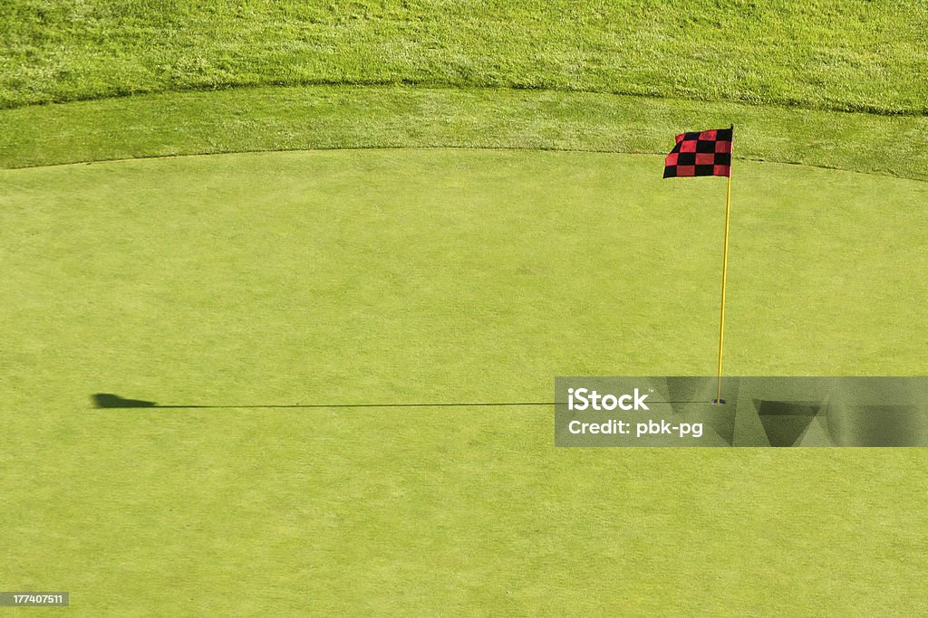 Golf Course Flag A red and black checkered golf course flagstick on a putting green.Related Image: Checked Pattern Stock Photo
