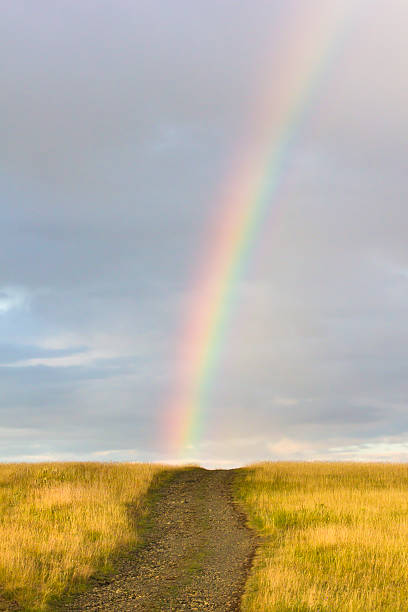 rural através do campo amarelo estrada para o arco-íris - end of the rainbow imagens e fotografias de stock