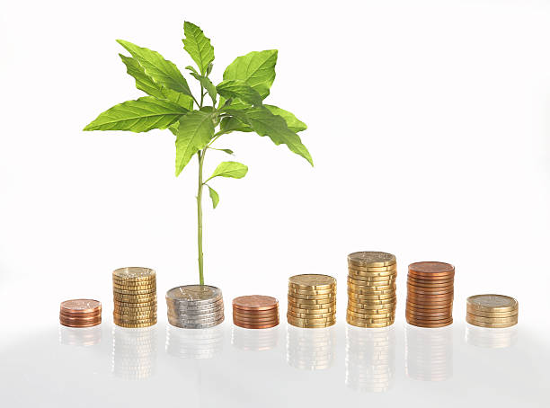 istock Coins with growing green plant 177407740