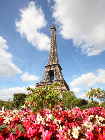 Flowers and the Eiffel Tower