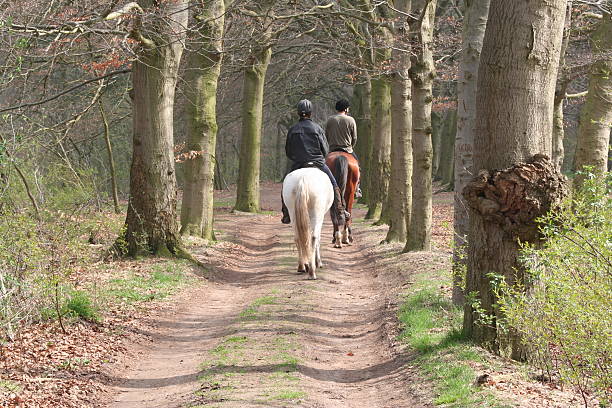 istock horseriding in the woods 177407940
