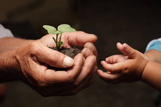 istock A grandfather hands his young grandson a sprouted plant 177408004