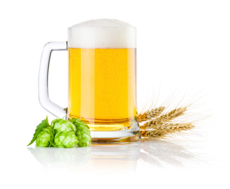 Mug fresh beer with Green hops and ears of barley isolated on a white background