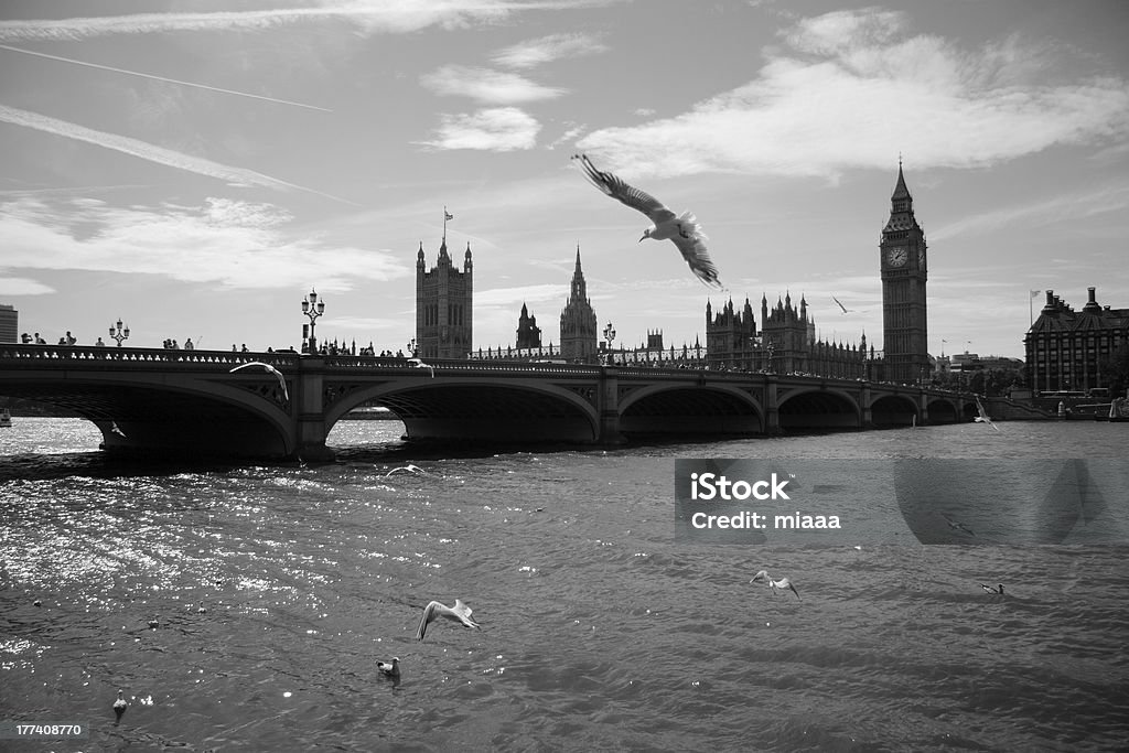 Palazzo di Westminster a Londra - Foto stock royalty-free di Acqua