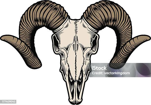 ヤギのスカル - ヒツジのベクターアート素材や画像を多数ご用意 - ヒツジ, ヤギ, 動物の骨