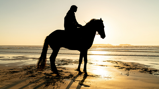 Silhouette of a horse and unidentified rider on the beach of Essaouira Mogador, Morocco