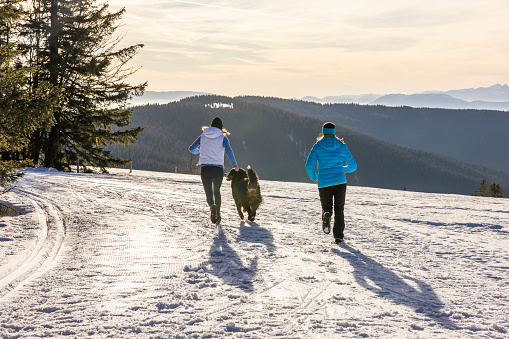 Rear view of two women friends in warm clothing having fun running with Bernese Mountain pet dog on snowy slope