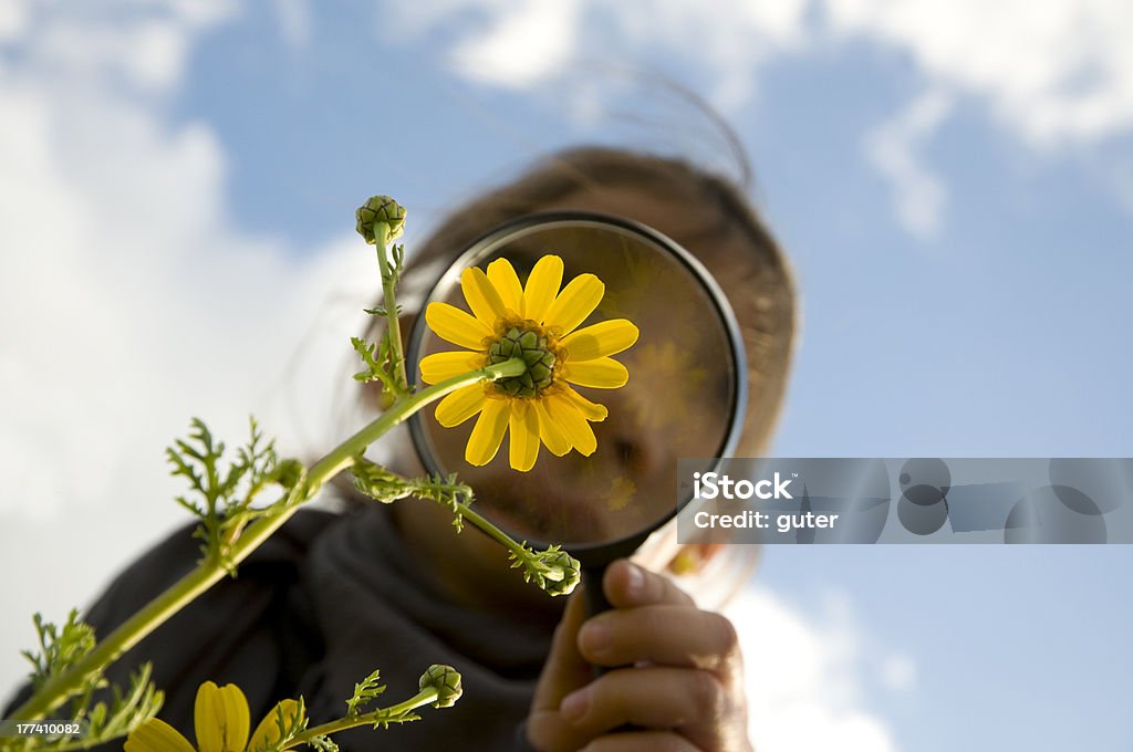 Blume-watching - Lizenzfrei Forschung Stock-Foto