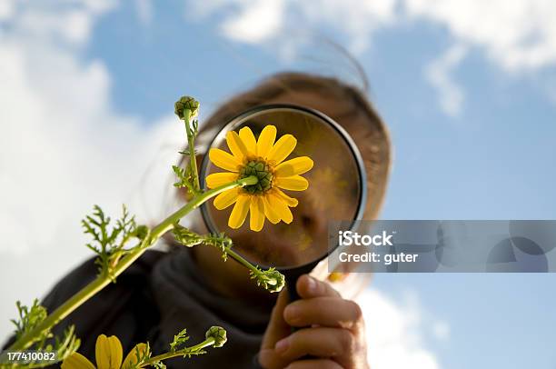 Blumewatching Stockfoto und mehr Bilder von Forschung - Forschung, Kind, Natur