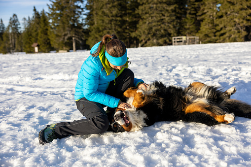 Carefree woman in warm clothing having fun playing with her Bernese mountain pet dog on snowy slope