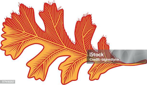 Red Oak Leaf Stock Illustration - Download Image Now - Autumn, Decoration, Illustration