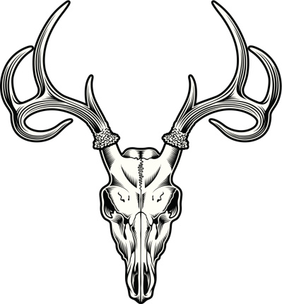 fully editable vector illustration of deer skull in black on isolated white background, suitable for crest, mascot, tattoo or tribal design