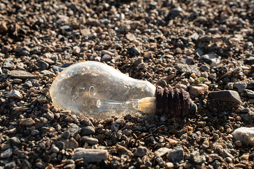 Vintage light bulbs buried in the sand