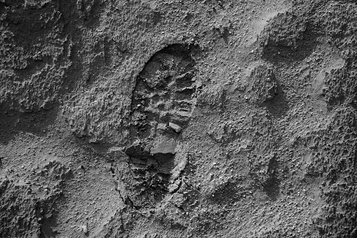 A footprint, in the Gobi desert