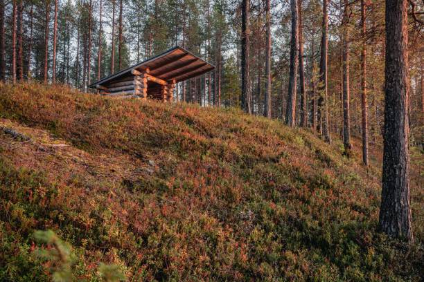 istock Quaint cabin is nestled in the lush forest, perched atop a rolling hill. 1774110137