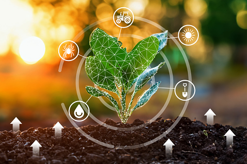 A plant growing out of the ground with icons surrounding it. The icons represent different aspects of sustainability, such as water, sun, energy, recycling, and composting. The plant is a symbol of growth, new beginnings, and a sustainable future.