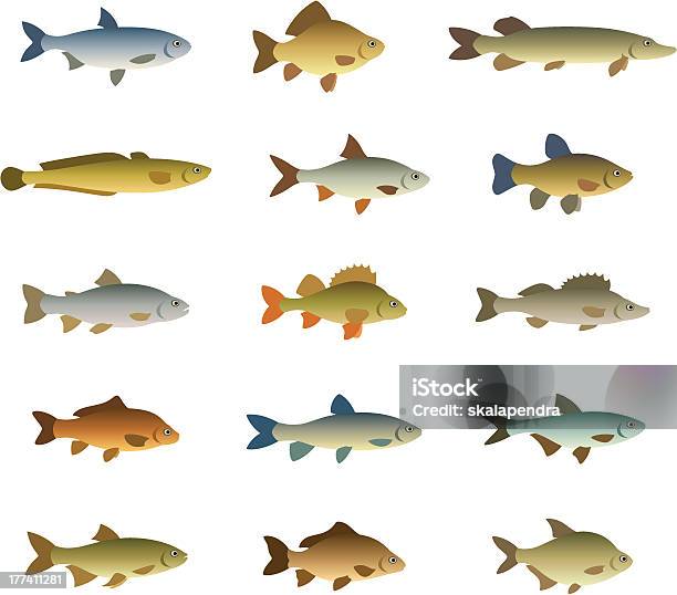Set Of Fish Stock Illustration - Download Image Now - Perch - Fish, Cod, Pike - Fish