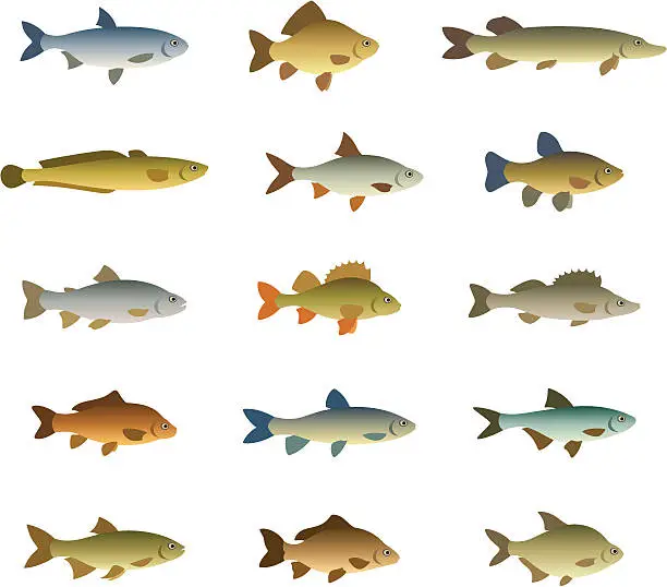 Vector illustration of Set of fish