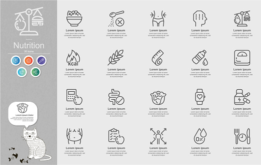 Nutrition Line Icons Content Infographic