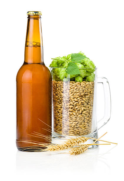 бутылка пива кружки пиво, полностью ячменя и пшеницы уши - mug beer barley wheat стоковые фото и изображения