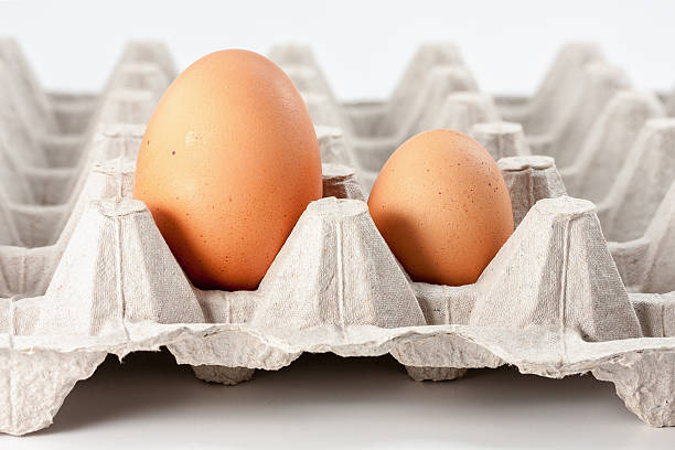 Eggs stock photo