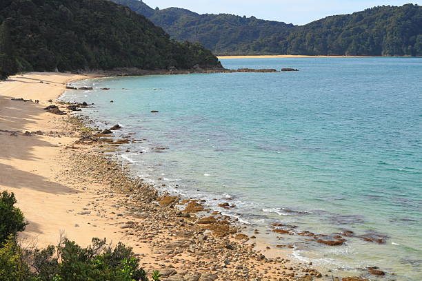 istock Abel Tasman National Park 177412154