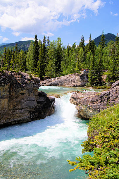 istock Waterfall in the Canadian Rockies 177412285