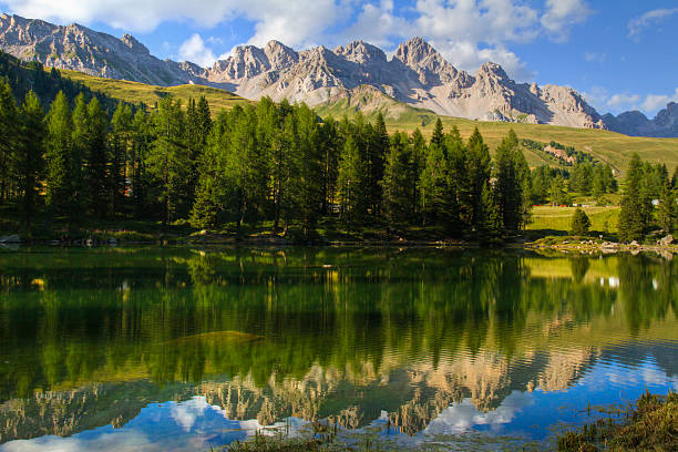 San Pellegrino Lake Dolomites - Costabella Mountains in summer time Saint Pellegrino Pass Dolomites - Lake of San Pellegrino and Costabella Mountains (Italy - Dolomites) catinaccio stock pictures, royalty-free photos & images