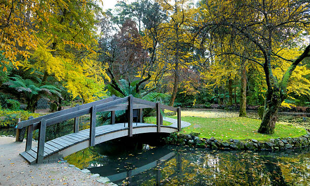 istock Golden autumn garen 177412688