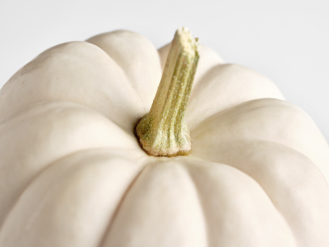 Macro close up view of a white colored raw autumn pumpkin.
