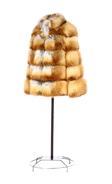 Women fur coat stock photo
