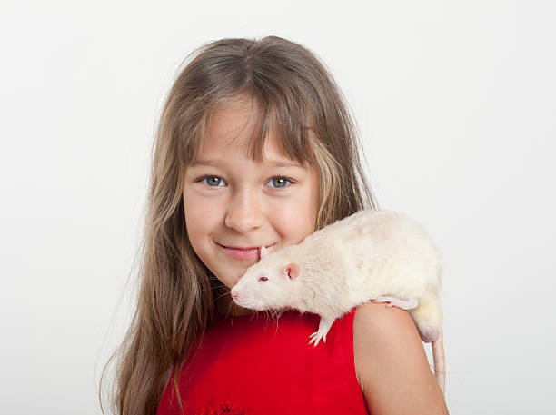 istock girl with a white domestic rat 177413688