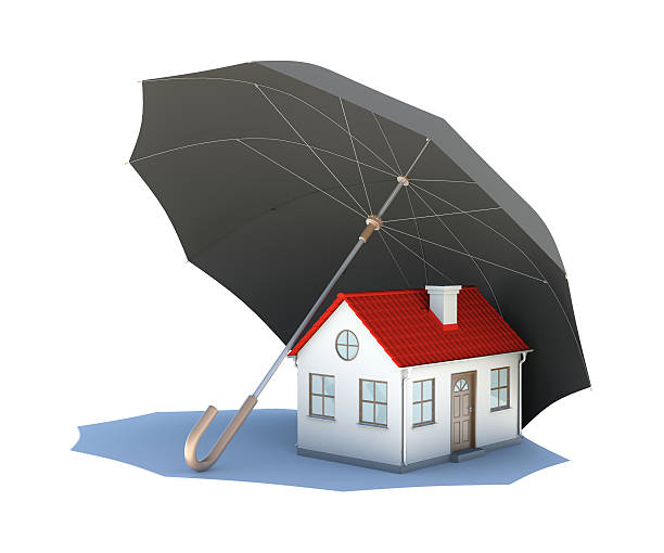 istock Umbrella covering the house 177413712