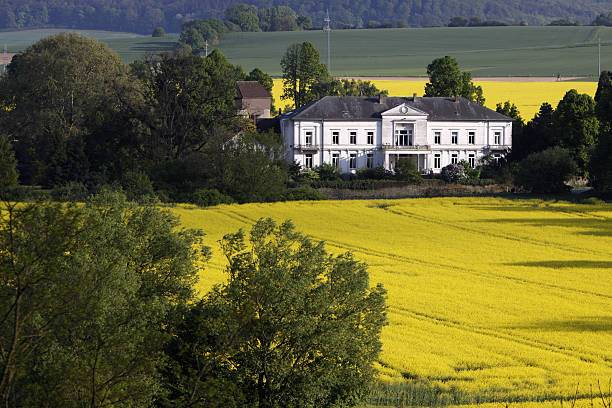 Landscape with rape field and house