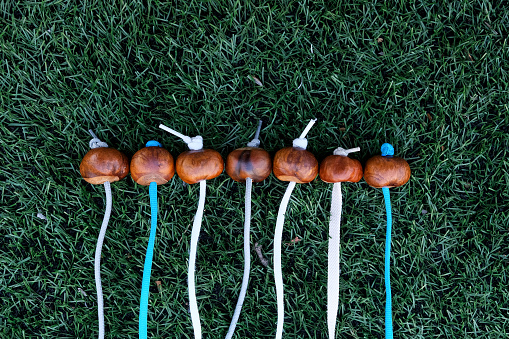 Accessories for Conkers game on the artificial lawn. Conkers is a traditional children's game in Great Britain and Ireland played using seeds of horse chestnut trees.